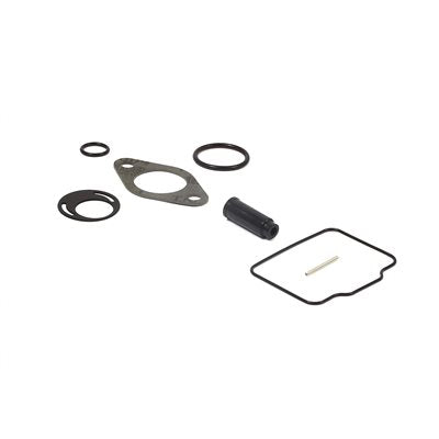 Carburetor Overhaul Kit